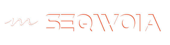 Seqwoia: Publicity Video  Games, Virtual Reality Buildings & Squares